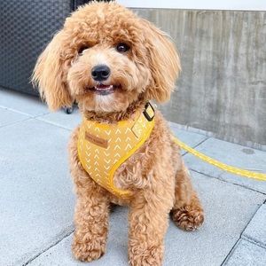 Brand New SNIFF AND BARK Harness (size large) [Retail price $50.00]